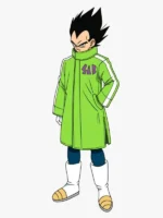 Dragon Ball Z Super Goku and Broly Vegeta SAB Coat